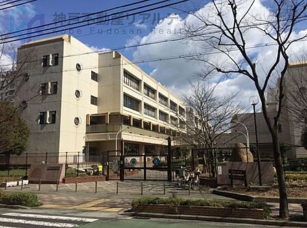 神戸市立義務教育学校港島学園 徒歩4分。 310m