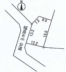 白水