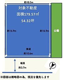 沢野