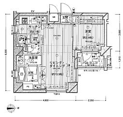 ダイナシティ糀谷 1LDKの間取図画像
