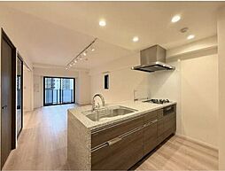 ルネサンス赤坂プレミアムコート 501 5階2LDKのリビング/ダイニング