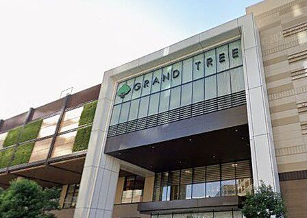 GRANDTREE MUSASHIKOSUGI 徒歩9分。 660m