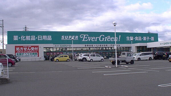 画像29:【スーパー】スーパーエバグリーン四ヶ郷店まで477ｍ