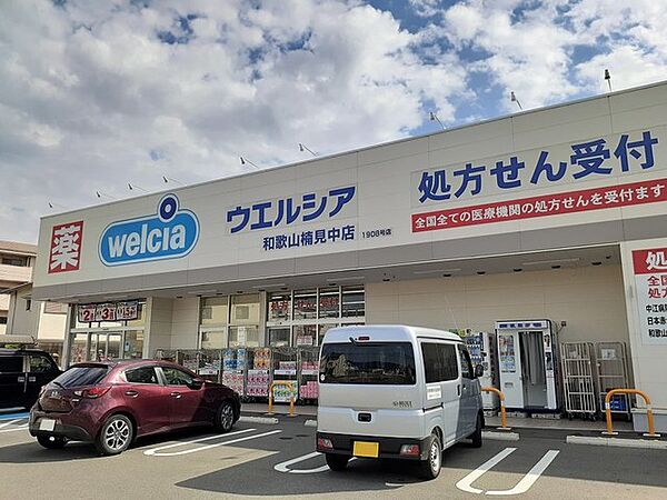 画像6:【ドラッグストア】ウェルシア 和歌山楠見中店様まで342ｍ