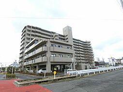 サーパス学園通り