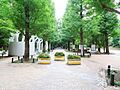 春の風公園