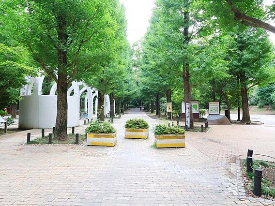 春の風公園