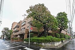 スターロワイヤル雪谷