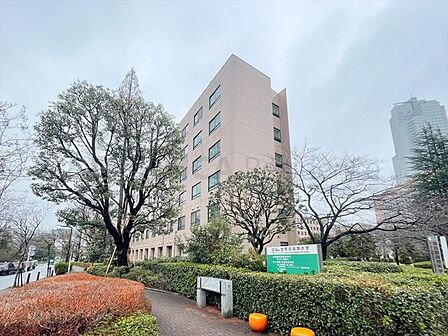 (財)聖路加国際病院 300m