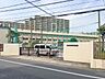 周辺：葛飾区立花の木小学校 20m
