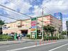 周辺：ホームセンターコーナンドイト南砂店 790m