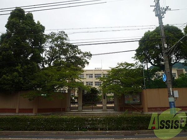 画像25:神戸市立雲中小学校 142m