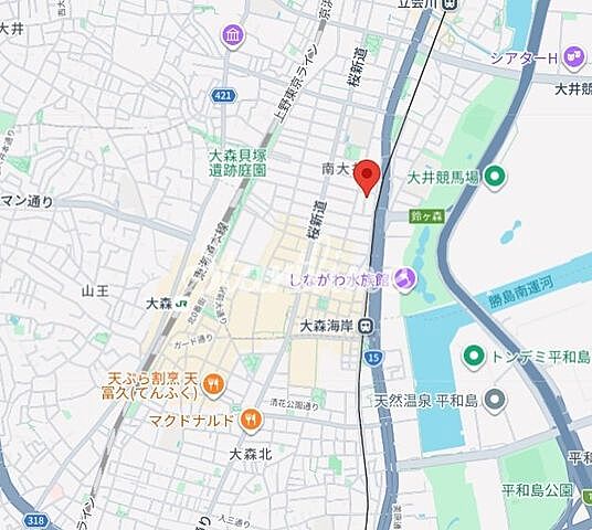 地図