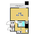 ライオンズマンション大手前第39階5.5万円