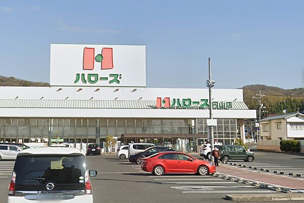 画像24:【スーパー】ハローズ 円山店まで378ｍ