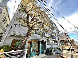 コーラルハイツ成増ウイング
