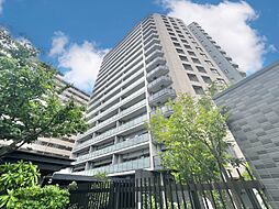バンベールルフォン辰巳