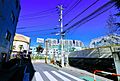 新宿区立柏木小...