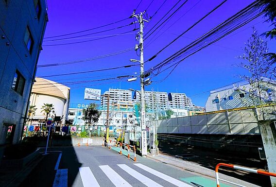 新宿区立柏木小...