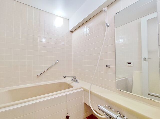 浴室 ハイネス新小岩親水公園 3階/-