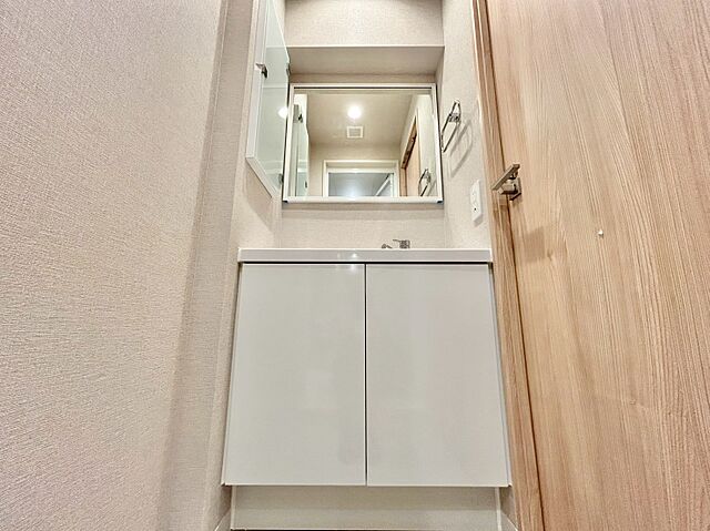 洗面 グランドメゾン戸山 3階/-