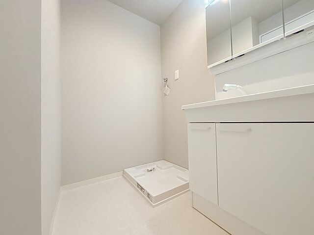 洗面 スカイウェイ立石 3階/-