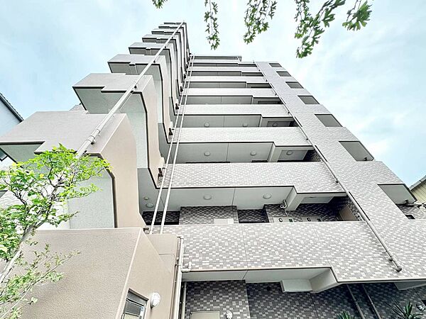 外観を拡大表示