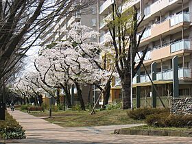 URひばりが丘パークヒルズ  ｜ 東京都東久留米市ひばりが丘団地（賃貸マンション2DK・6階・50.13㎡） その14