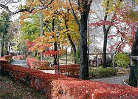 UR清瀬旭が丘  ｜ 東京都清瀬市旭が丘2丁目（賃貸マンション2LDK・5階・50.58㎡） その5