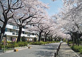 URグリーンタウン美住一番街  ｜ 東京都東村山市美住町1丁目（賃貸マンション2DK・3階・45.52㎡） その5