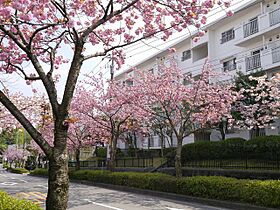 UR小山田桜台  ｜ 東京都町田市小山田桜台2丁目（賃貸マンション3LDK・3階・78.36㎡） その13