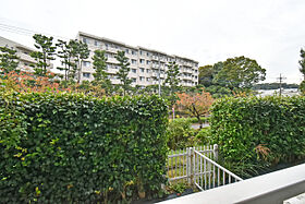 UR小山田桜台  ｜ 東京都町田市小山田桜台1丁目（賃貸マンション3LDK・1階・79.78㎡） その12