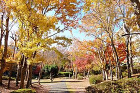 UR館ヶ丘  ｜ 東京都八王子市館町（賃貸マンション1LDK・1階・51.11㎡） その3