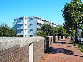 UR多摩ニュータウン蓮生寺公園通り二番街