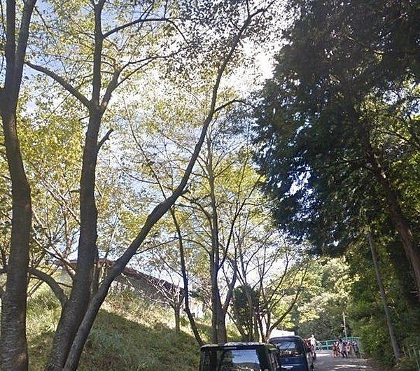 周辺を拡大表示