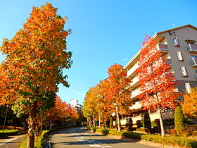 UR十日市場ヒルタウンコンフォール十日市場五番街  ｜ 神奈川県横浜市緑区十日市場町（賃貸マンション2LDK・7階・62.57㎡） その3