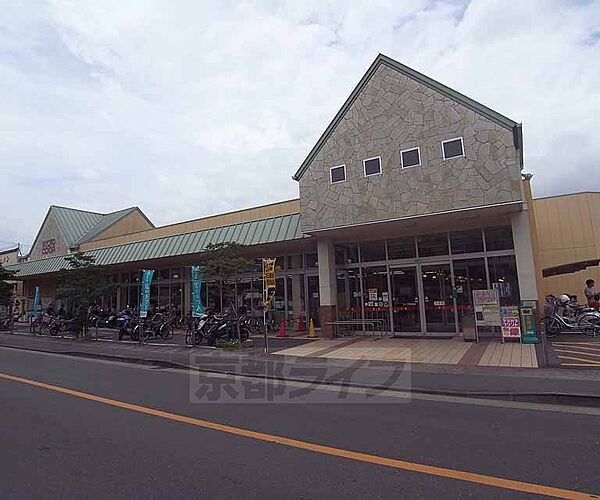 画像12:京都生活共同組合コープさがのまで250m 山越通り沿いにあり、ガレージもありますよ。