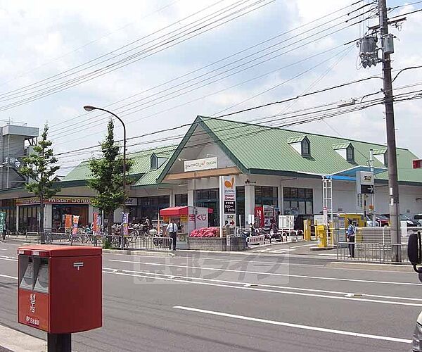 画像30:グルメシティ 嵯峨店まで549m 嵯峨嵐山駅から北へ丸太町通りを東にいった場所にあります。駐車場完備。