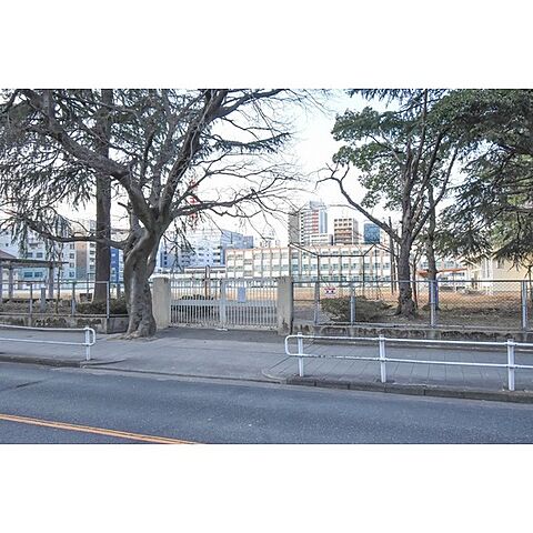 中学校「名古屋市立白山中学校まで900ｍ」