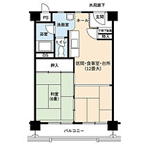 1階 / 1LDK / 45.59㎡