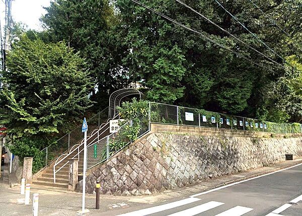 周辺を拡大表示