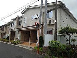 チェリーブロッサム　B