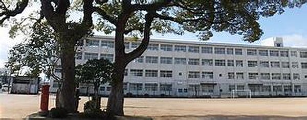 画像15:姫路市立白浜小学校