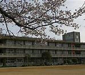 画像18:三木市立平田小学校