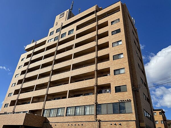 兵庫県姫路市岡田(賃貸マンション2DK・5階・48.30㎡)の写真 その1
