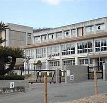 画像15:姫路市立青山小学校