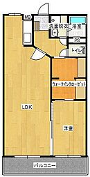 メゾン平田 1LDKの間取図画像