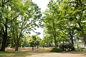 UR光が丘パークタウンいちょう通り八番街