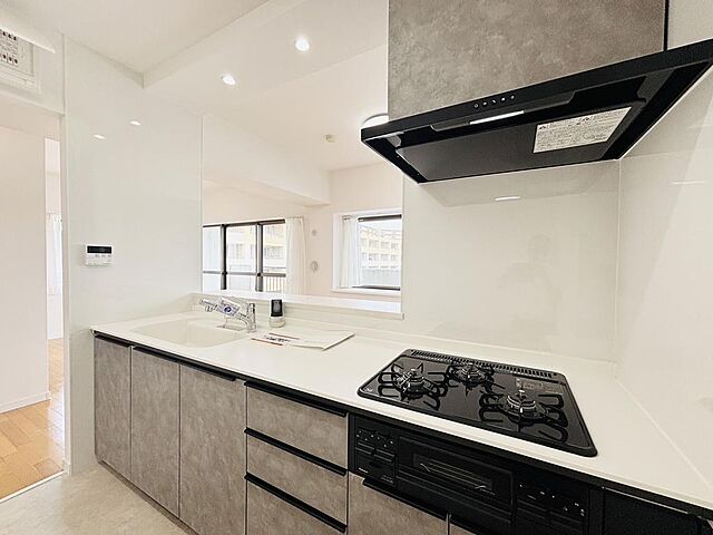 キッチン グリーンピア松戸 5階/501号室