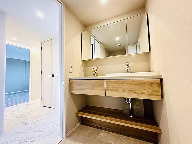 洗面 アンビシャスヒル船橋 8階/801